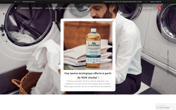 Hast website preview