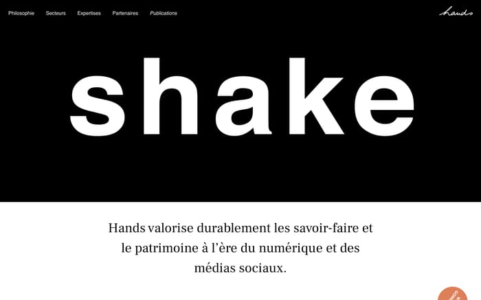 Hands website preview