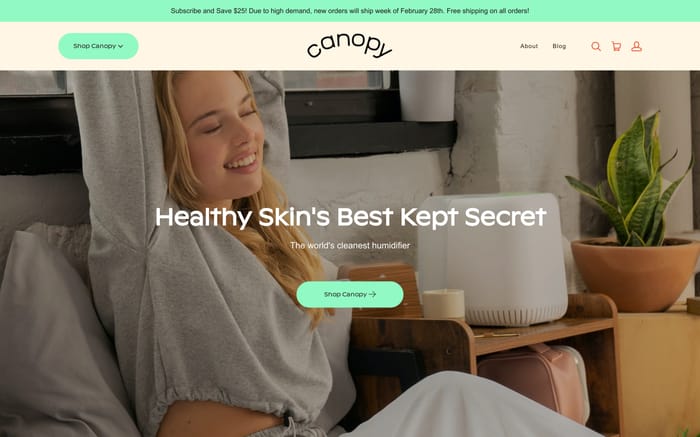 Canopy website preview