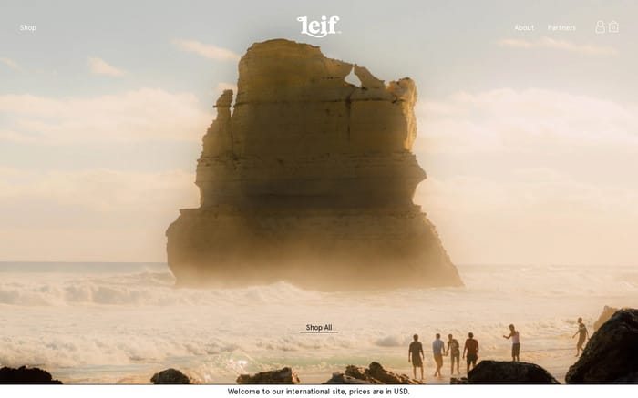 Leif Products website preview
