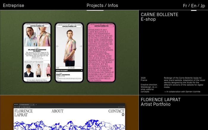 Entreprise website preview