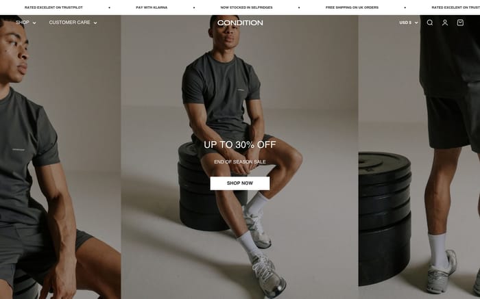 Condition website preview
