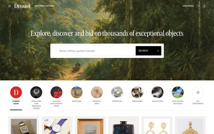 Drouot website preview