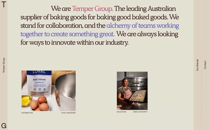 Temper Group website preview