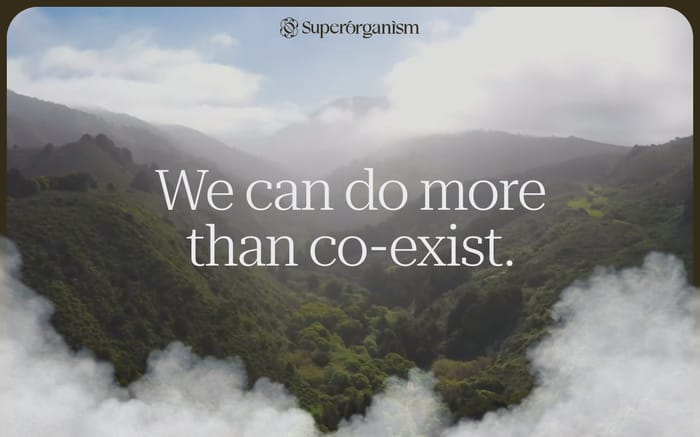 Superorganism website preview