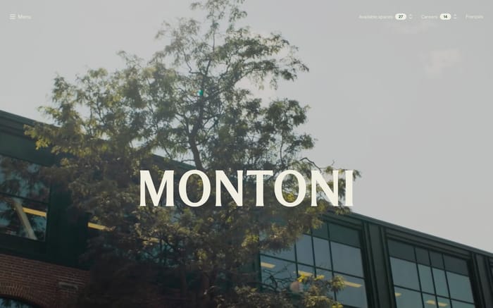 Montoni website preview