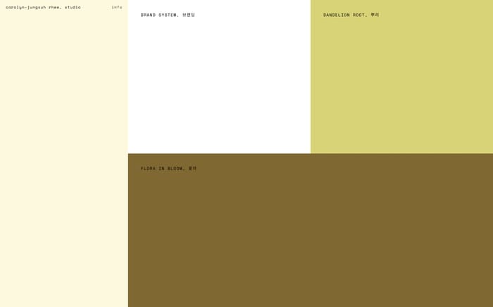Carolyn Jungsuh Rhee website preview