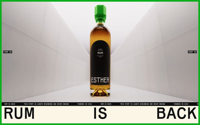 Esther website preview