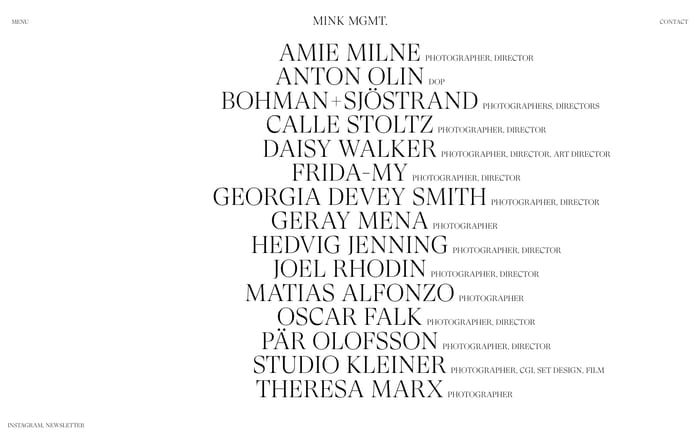 Mink Mgmt website preview