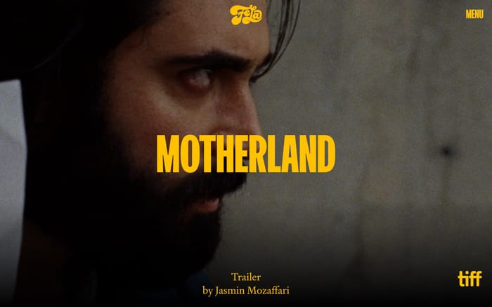 Fela website preview