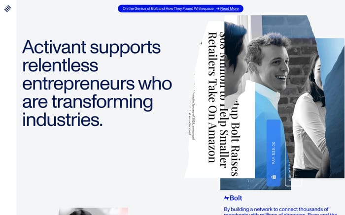 Activant website preview