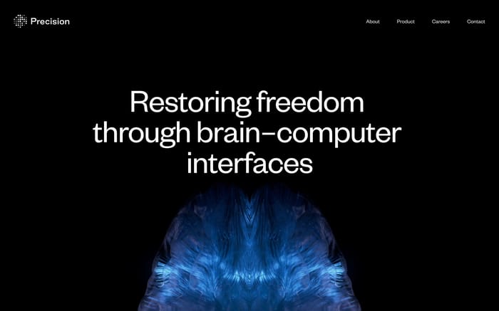 Precision website preview