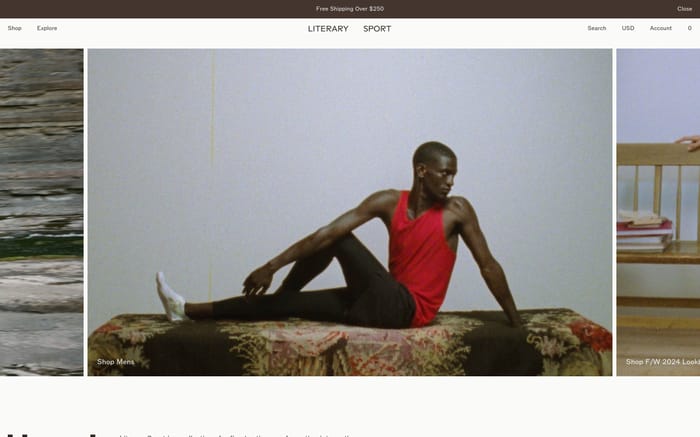 Literary Sport website preview