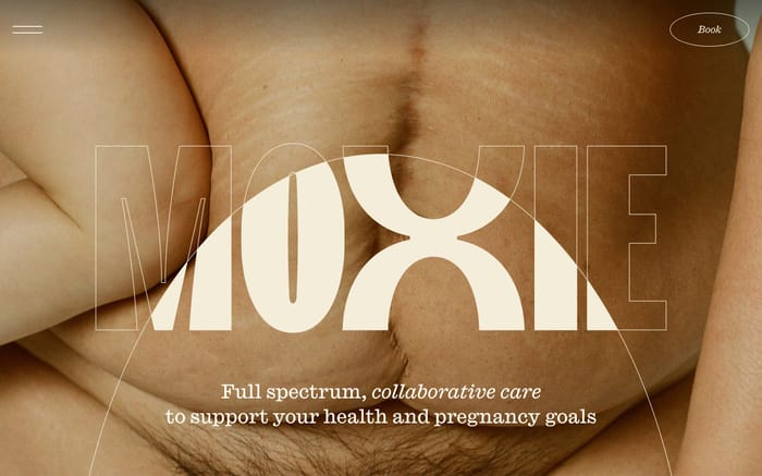 Moxie website preview