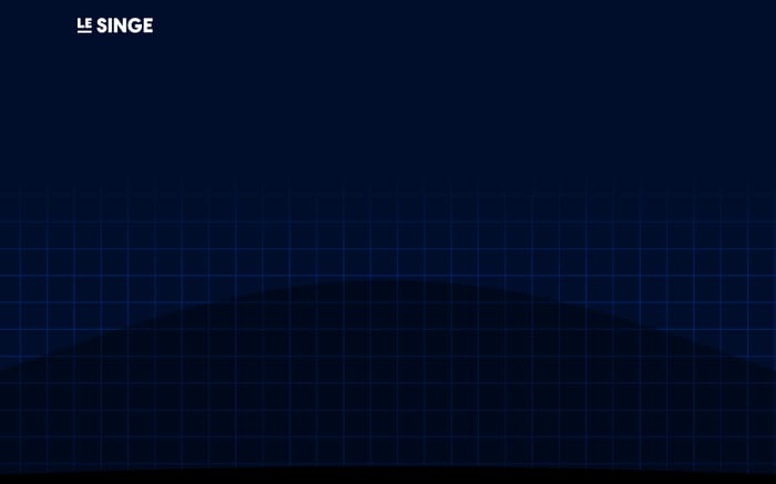 Le Singe website preview