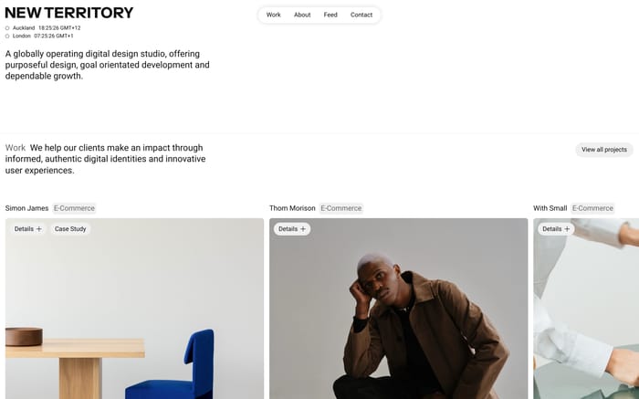 New Territory website preview