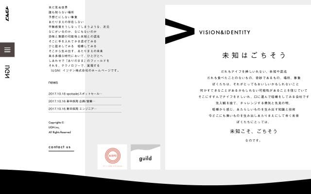 Ijgn website preview