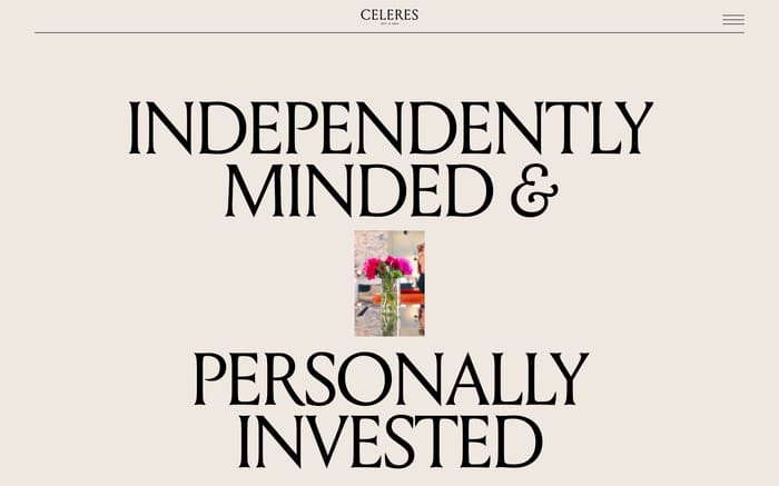 Celeres website preview