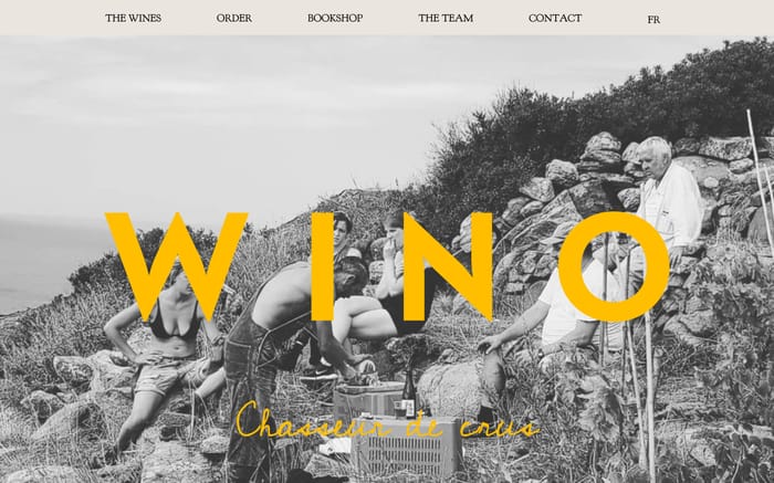 Wino Import website preview
