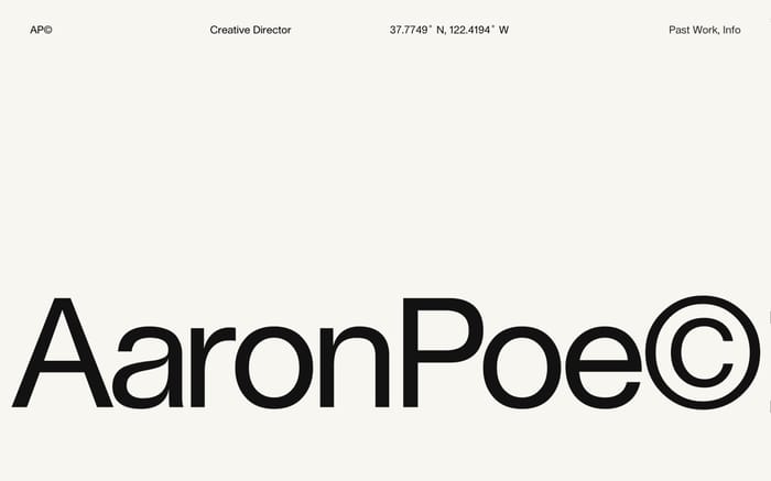Aaron Poe & Co website preview
