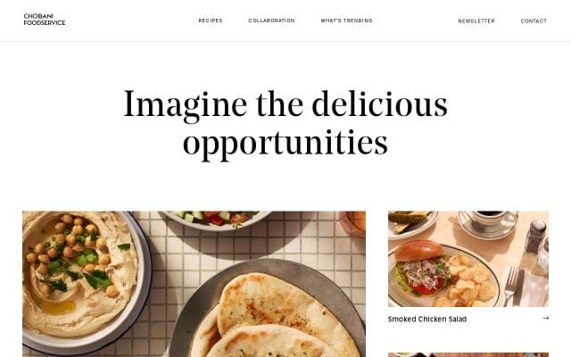 Chobanifoodservice website preview