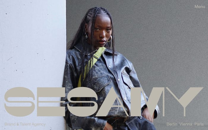 Sesamy Agency website preview