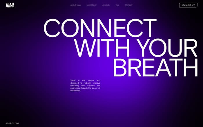 Vana website preview