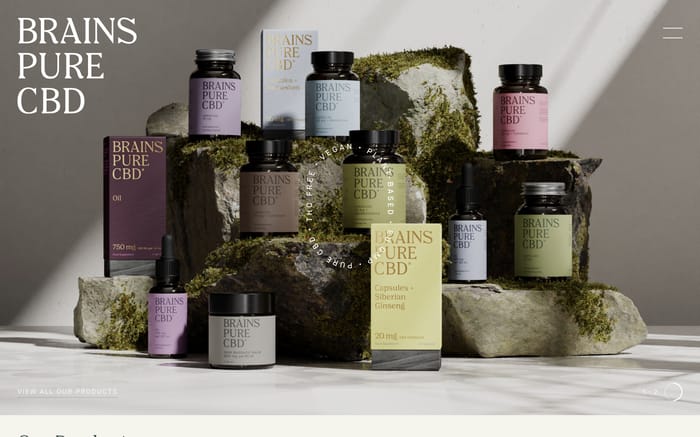 Brains Pure CBD website preview