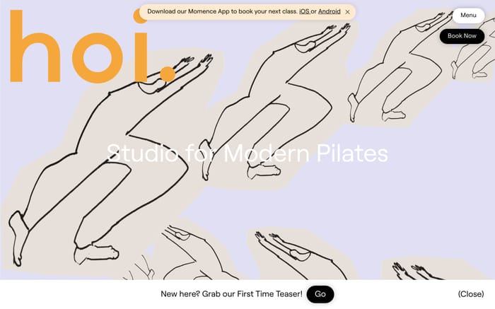 Hoi studio website preview