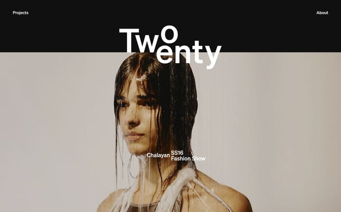 TwoTwenty website preview