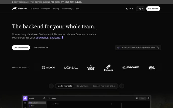 Directus website preview