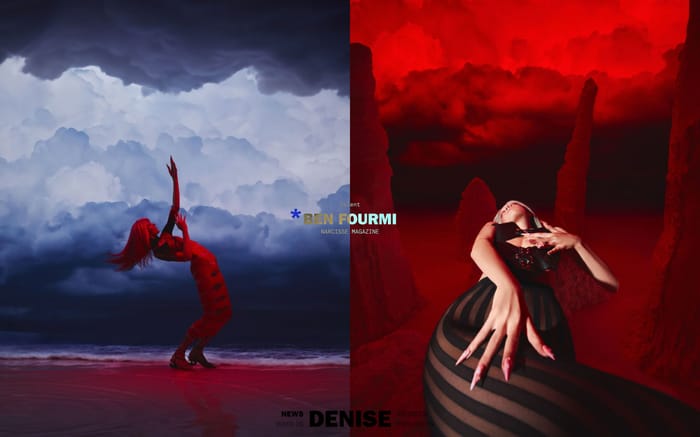 Denise Agency website preview