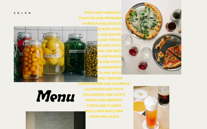 Solen website preview