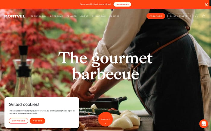 Montvel website preview