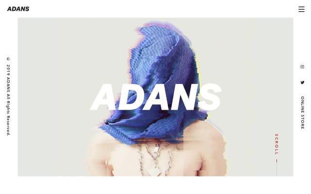 Adans website preview