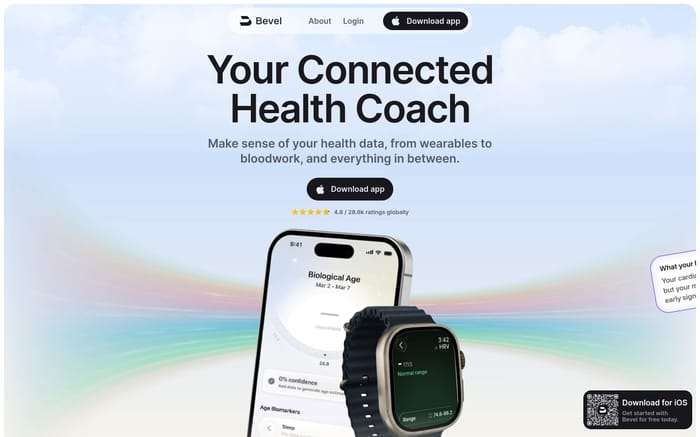 Bevel website preview