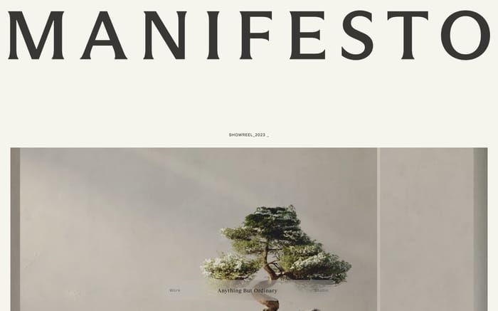 Manifesto website preview