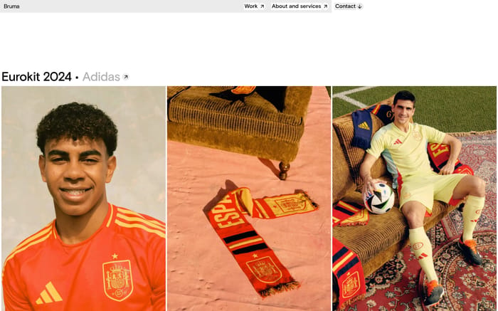 Bruma website preview