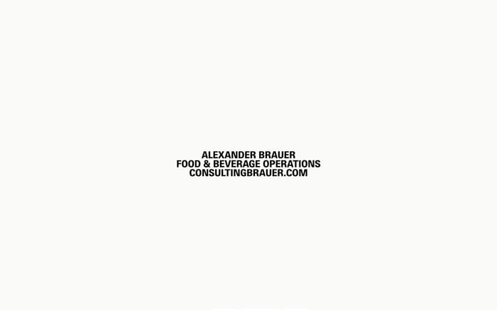 Consulting Brauer website preview