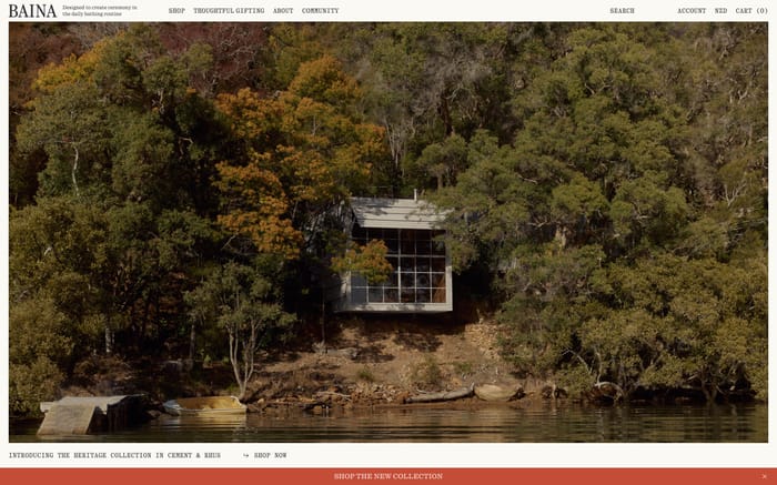 Baina website preview