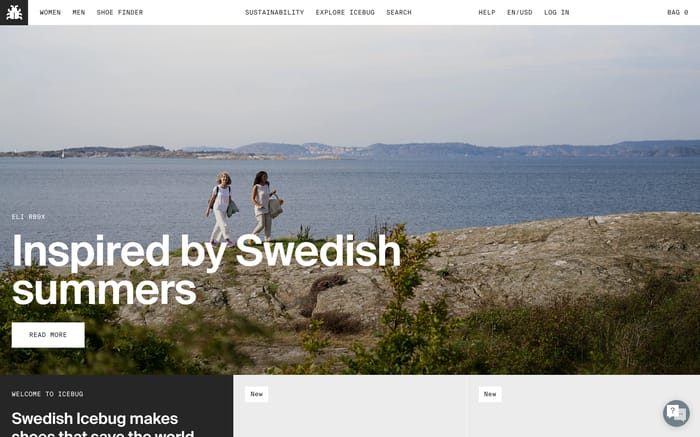 Icebug website preview