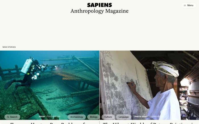 Sapiens website preview