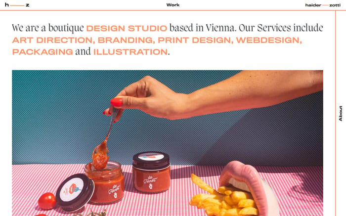 Haider-Zotti website preview