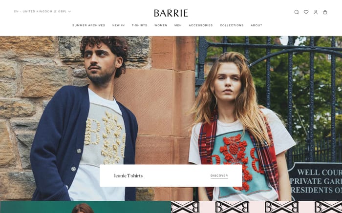 Barrie website preview