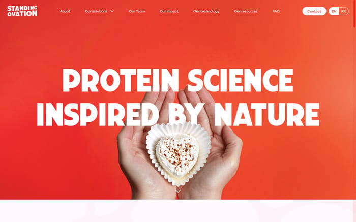 Standing Ovation website preview