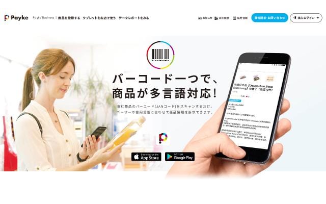 Payke website preview