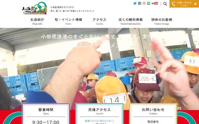 Sakana website preview