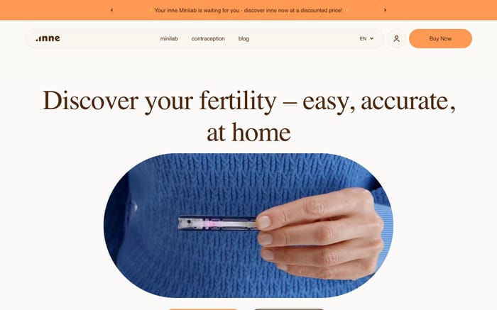 Inne website preview