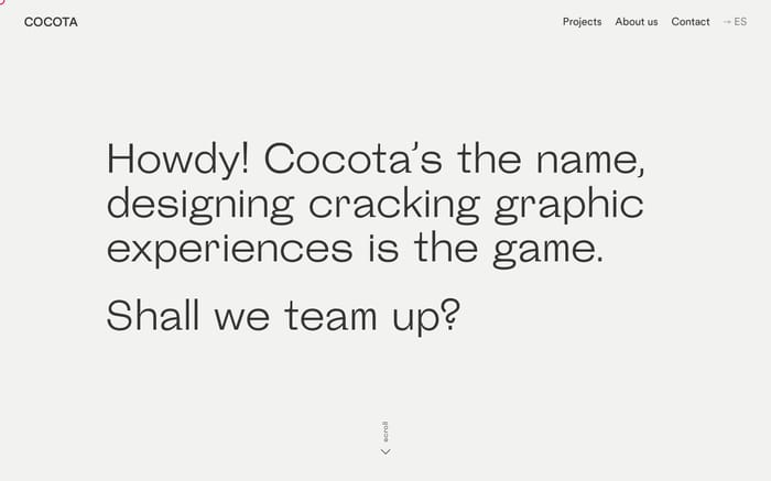 Cocota Studio website preview
