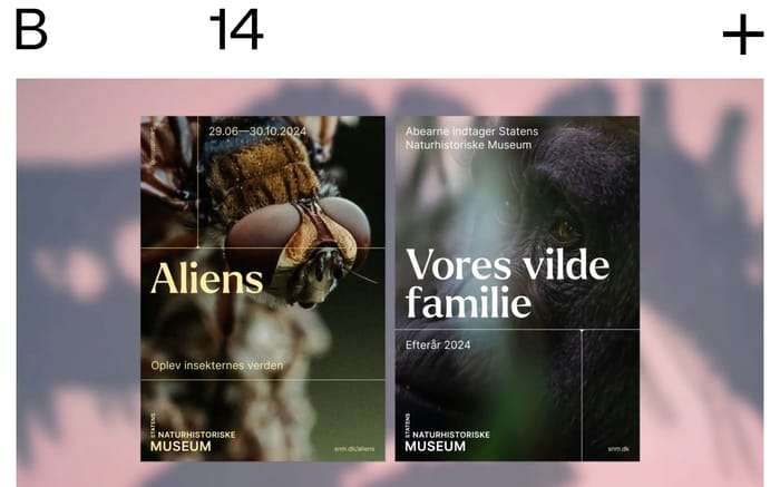 B14 website preview